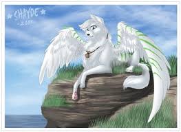 775 wolf drawing premium high res photos. 110 Element Wolf Ideas Wolf Art Anime Wolf Fantasy Wolf