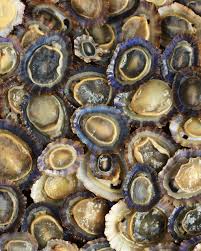 Patelle Limpets From Pantelleria Sicily Http Www Underthealmondtree Com 2014 03 21 Jewels Sea Almond Caipirinha Jordgubbar