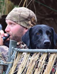 2017-18 Iowa Hunting, Trapping & Migratory Game Bird Regulations