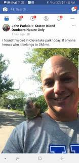 Lost and Found Pets Staten Island