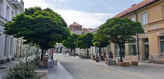 This picturesquely located city was the first capital of the masovia province and for a short period it was even poland's capital. Plock Day Trips Warsaw