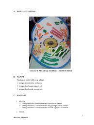 Maybe you would like to learn more about one of these? Sel Hewan