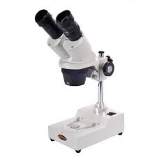 You can set a desired level of illumination and a measuring. 12 Best Microscopes For Kids And Why You Need Them Microscope Com