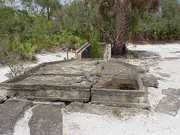 Image result for dip vat