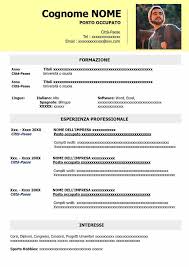 Prodotti microsoft (in particolare word e office in particolare) sono adatti per tutti i livelli di utenza. Curriculum Vitae Da Scaricare Online E Compilare Cv Online
