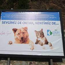 ricamiza cok hizli cevap veren degerli izmitbelediyesi41 calisanlarina sevgili baskanimiz fatmakaplanhurriyet hanima cok tesekkur e instagram instagram posts