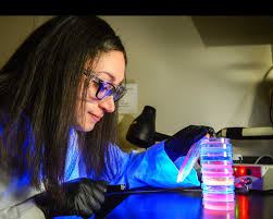 Meet a Program Fellow