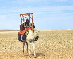 We will carry out the qurbani in holy makkah (saudi arabia) or prioritising the designated site of the qurbani in bangladesh and indian border of. Saudi Arabia By Nestor Sander Bedouin Woman 1949 Arab Culture Arabian People Cultural Pictures