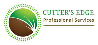 In fact, it can be very effective when used correctly. Top 10 Best Pest Exterminators In Rio Rancho Nm Angi