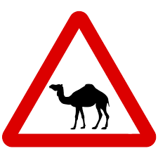 This includes blogs, art commissions if you believe a rule has been broken, please report the offending post/comment. Buy Asian Loto Camel Crossing Road Sign Online At Best Prices In India