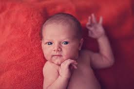 Studio 7 Photography