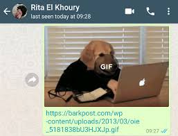 Whatsapp Lets You Download Linked Gifs Before Sending Them It's not possible to send your own downloaded gifs at this moment, as.