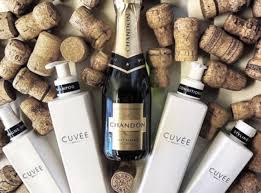 We at shobhana beauty studio offer red wine hair spa, which no doubt is the most sought after hair care service all across san ramon, dublin, pleasanton and blackhawk. Champagne Lovers Will Go Crazy Over This Wine Infused Hair Care Line Self