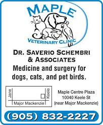 1 plaza pet clinic reviews in tucson, az. Maple Veterinary Clinic 10040 Keele Street Maple Reviews And Appointments Topvet