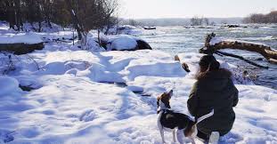 Our grassroots, local organization is focused on careful, permanent adoptions of the dogs we. Richmond Spca 44 Photos 45 Reviews Animal Shelters 2519 Hermitage Rd Richmond Va Phone Number