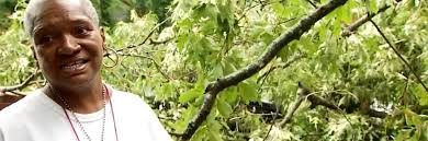 God is good': Tree splits Georgia woman's home in half