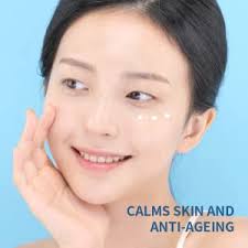 THANK YOU FARMER Sun Project Water Sun Cream: Buy Online at Best Price in  UAE