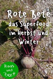 Rote Bete Das Herbstliche Regionale Superfood Haus Und Beet Superfood Rote Bete Selbstversorger Garten
