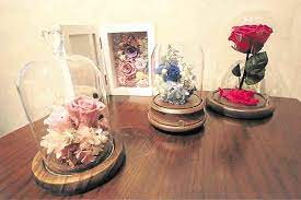 No wonder, these flowers and their aroma are stunningly beautiful and pleasing to one's senses. Preserved Flowers Venture Blooms Inquirer Business
