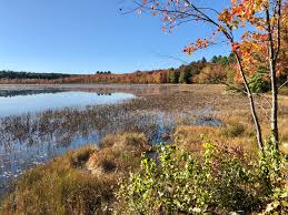 Pond definition, a body of water smaller than a lake, sometimes artificially formed, as by damming a the pond, informal. Turkey Ponds Wikipedia
