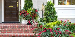 12 plants that are perfect for window boxes. 5 Shrubs For Winter Containers