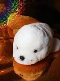 Sea World Seaworld Soft Fluffy White Harp Seal Plush Marine Wiskers Htf Harp Seal Sea World Marine