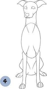 Italian Greyhound Dogs Puppies Book Greyhound Art Paintings Dog Face Drawing Italian Greyhound Art