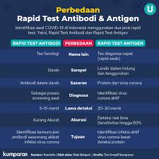 Perbedaan Pcr Rapid Test Antigen Dan Antibodi Untuk Deteksi Corona Kumparan Com