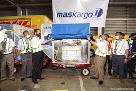 Malaysia had initially planned to start its mass vaccination campaign on friday, but with the vaccines arriving ahead of schedule on sunday, the authorities brought forward the start date of the. Lzebhac7xz1nem