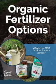 Fish emulsion fertilizer can provide more nutrients to your outdoor plants, so that the leaves, fruits, and vegetables grow bigger and lusher than if you simple did nothing at all. Organic Fertilizer Options The Beginner S Garden Organic Fertilizer Gardening For Beginners Organic Gardening Tips