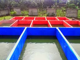 Kontruksi kolam terpal untuk pembesaran patin sama dengan kolam terpal plastik untuk pendederan. Jual Terpal Kolam Lele Ukuran 1x0 5x0 5 Meter Kota Tangerang Jadi Jaya Terpal Tokopedia