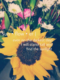 With many bible verses to. Aesthetic Sunflower Wallpaper With Bible Verses Novocom Top