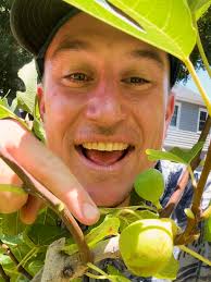 What varieties of figs grow well in your area?