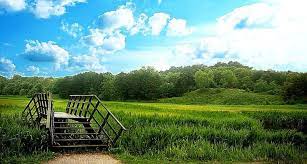 Asus Rog Hd Desktop Wallpaper Widescreen High Definition 1256 675 Download 1366 768 Best Nature Wallpapers Hd Green Nature Wallpaper Best Nature Wallpapers