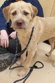 Thompson Building & Remodeling Inc.