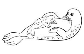 Color in this picture of a seal and others with our library of online coloring pages. Coloring Pages Little Cute Spotted Seal Smiles Royalty Free Cliparts Vectors And Stock Illustration Image 59779638