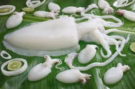 صيادين السمك سبيط من أسماك البحر الأحم أسماك بحر