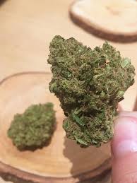 May 21, 2021 · silver haze is a heavily sativa dominant hybrid (90% sativa/10% indica) strain created by breeders at the infamous sensi seeds farms as a potent cross between the insanely popular skunk #1 x northern lights #5 x haze strains. 6 12 Thc Cbd Skunk Haze From Tantalus Recpics