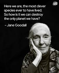 Renowned zoologist fights for the planet's future