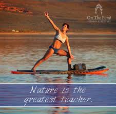 Sup Yoga Stand Up Paddle Boarding Ecoxgear Inspirational Quotes On The Pond Fitness And Rentals Utah Yoga Www Standup Paddle Surfing Standup Paddle Board