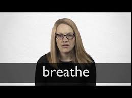 Breathe Definition And Meaning Collins English Dictionary