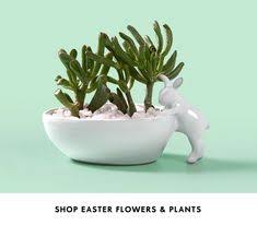 Coffee machine cleaner woolworths clothing for kids. 56 Woolworths Easter Ideas Easter Merchandise Easter Egg Treats