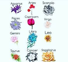 Learn about cancer star sign dates & traits on astrology.com! Yes I Love The Libra Flower Libra Zodiac Sign Fashion Zodiac Signs Zodiac Tattoos
