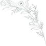 Profile Picture of Taylor Gibbs and Jesse Runge's Wedding Website - Zola (@zola.com) on Google