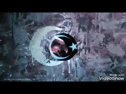 Konusan Kediler 11 En Komik Kedi Videolari Youtube