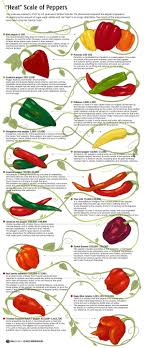 info chili pepper information the scoville heat scale