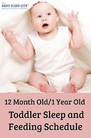 12 Month Old 1 Year Old Sleep Schedule The Baby Sleep Site