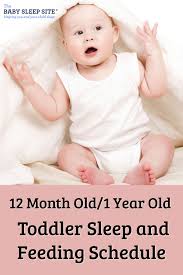 12 Month Old 1 Year Old Sleep Schedule The Baby Sleep Site