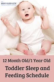 12 month old 1 year old sleep schedule the baby sleep site