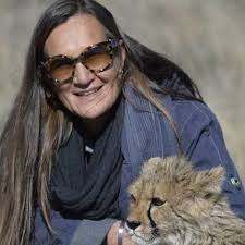 What are some must-see attractions and activities in Cape Town?